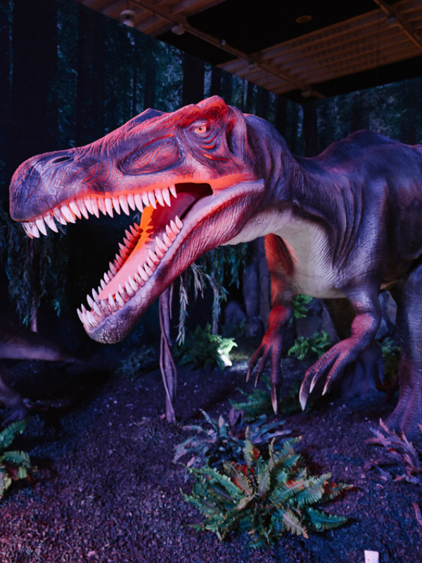 Expo Dino World