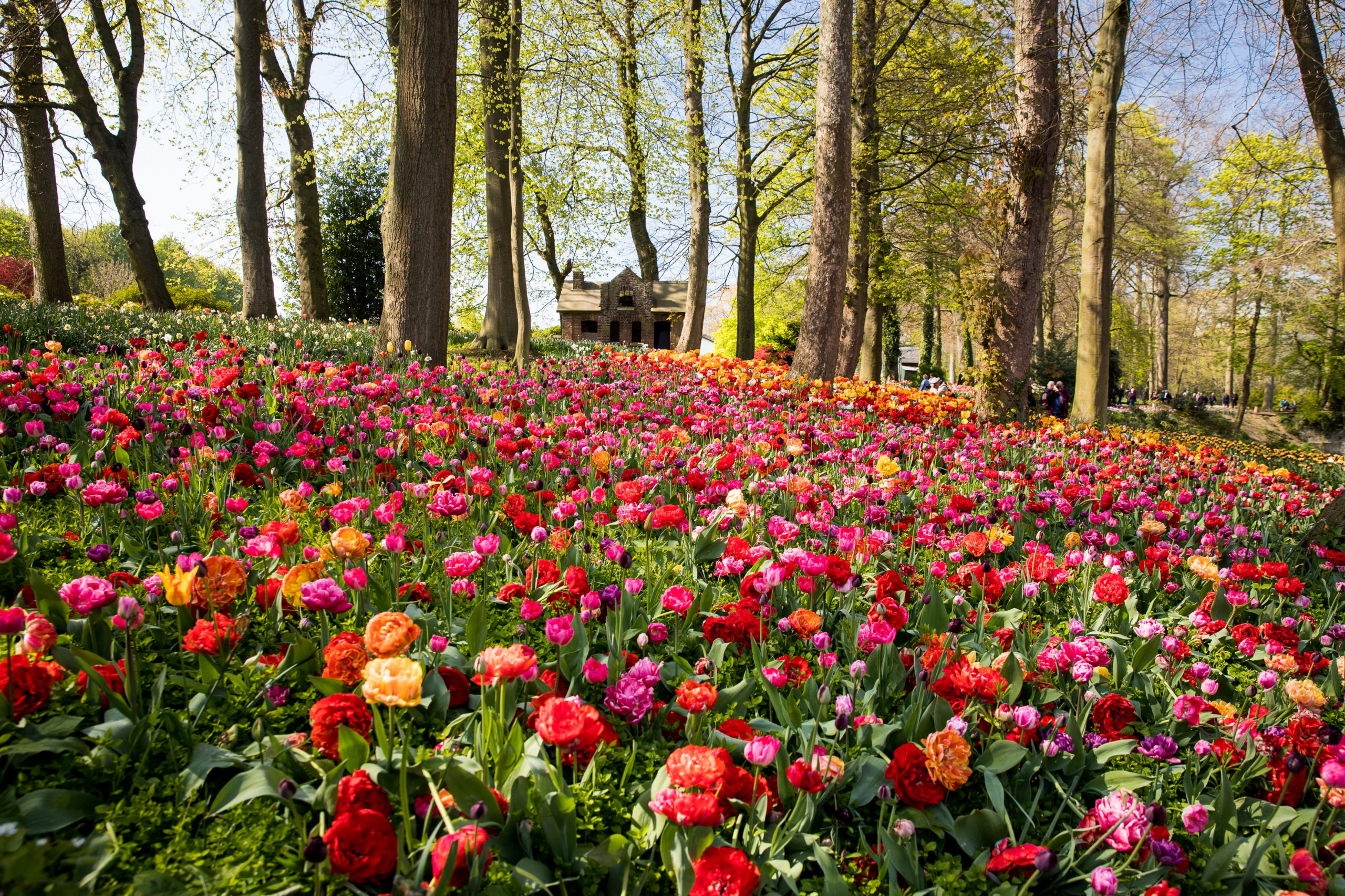 Floralia Brussels